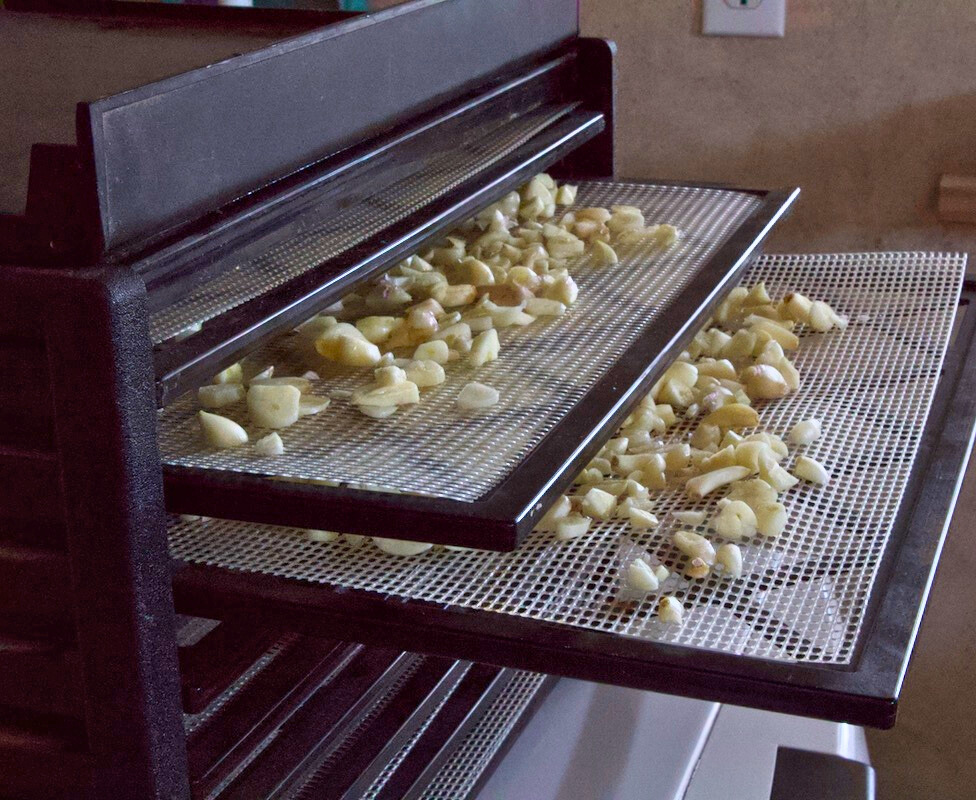 chopped garlic on dehydrator trays