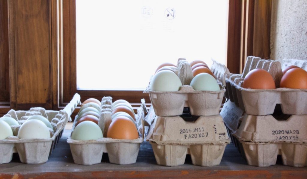 6 cartons of eggs on a shelf in front of a window.  