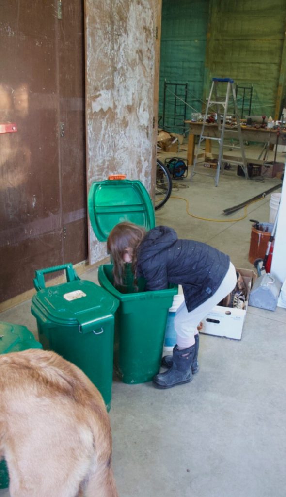 girl scooping animal feed from bin
