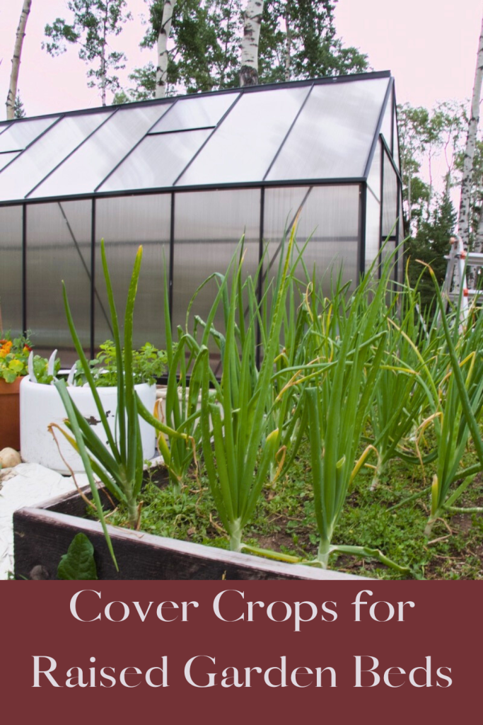 greenhouse with a garden bed of onions