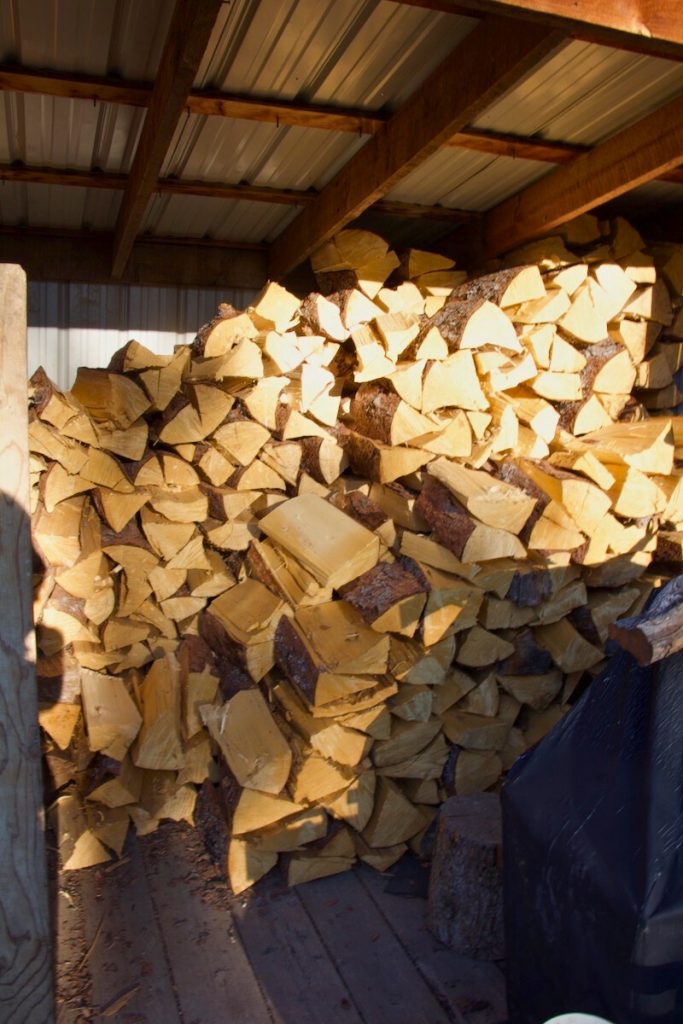 firewood stacked in a shelter