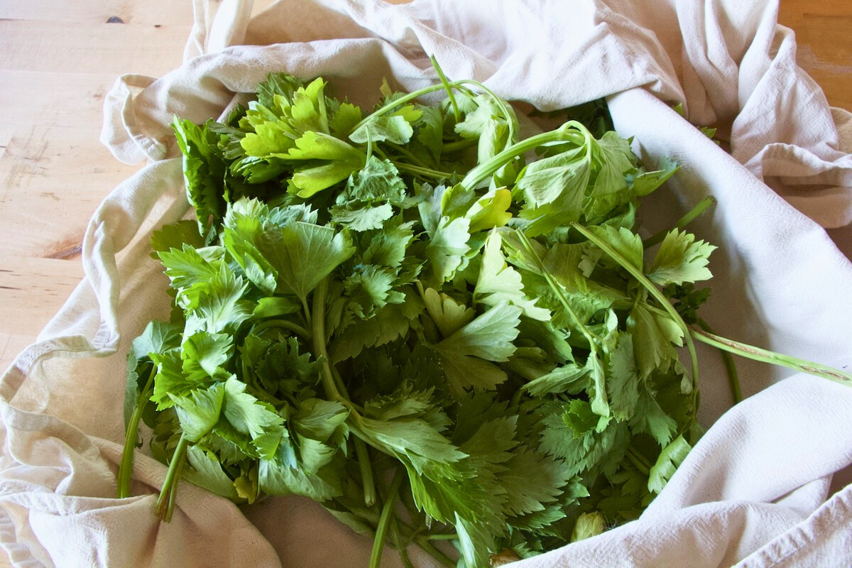 Easy Homemade Vegetable Bouillon Powder Mossy Meadow Homestead