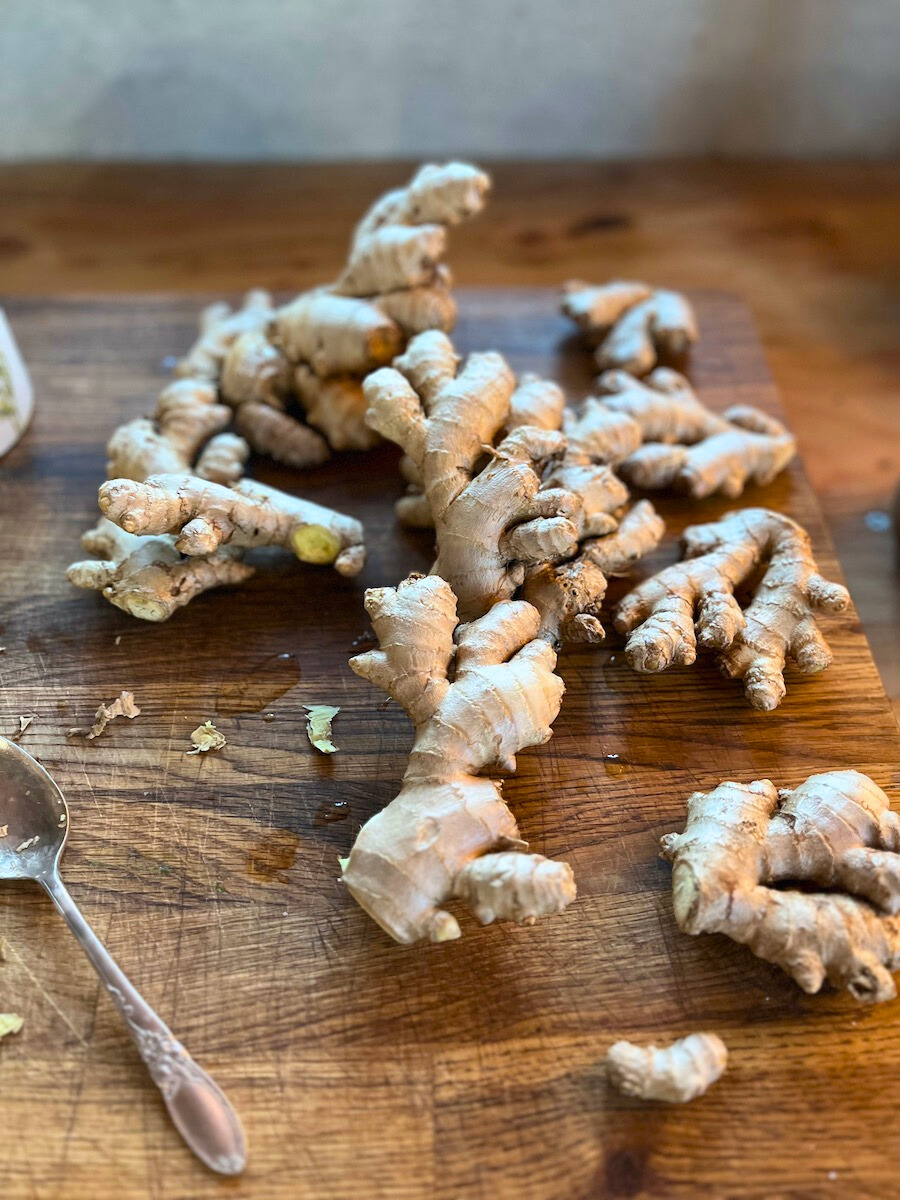 How to Freeze Fresh Ginger Mossy Meadow Homestead