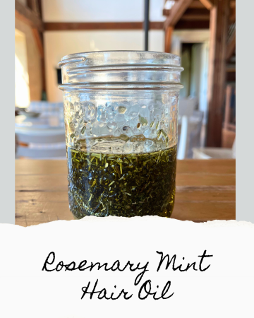 jar of olive oil and dried rosemary and mint on a wooden counter