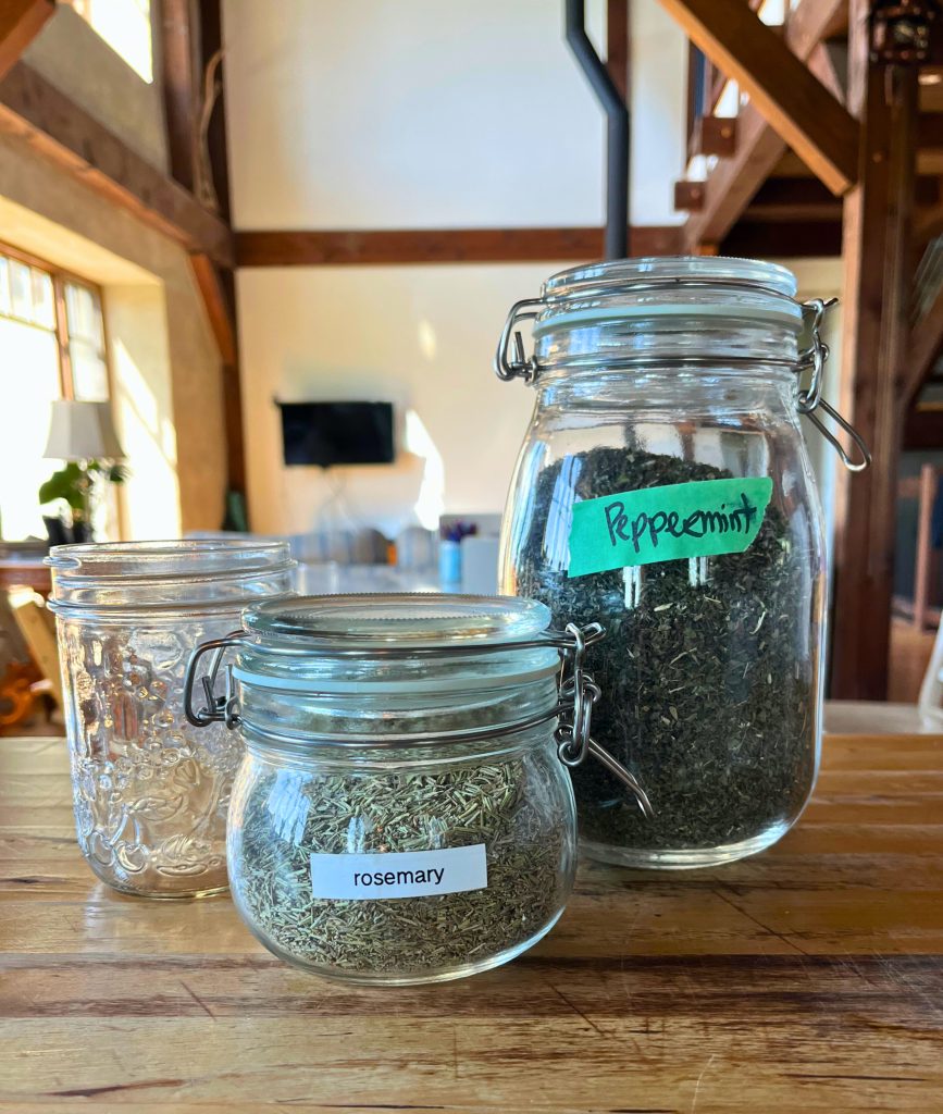 an empty canning jar, a small glass jar filled with dried rosemary, and a large glass jar filled with dried peppermint on a wooden counter