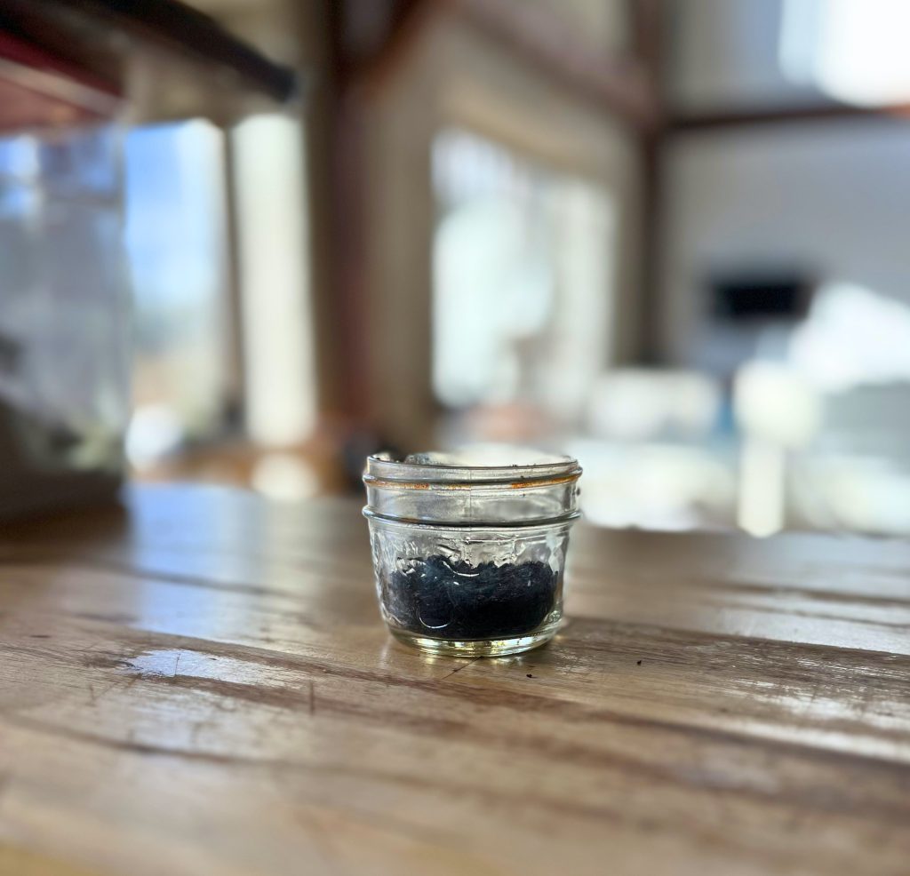 jar of homemade vanilla powder
