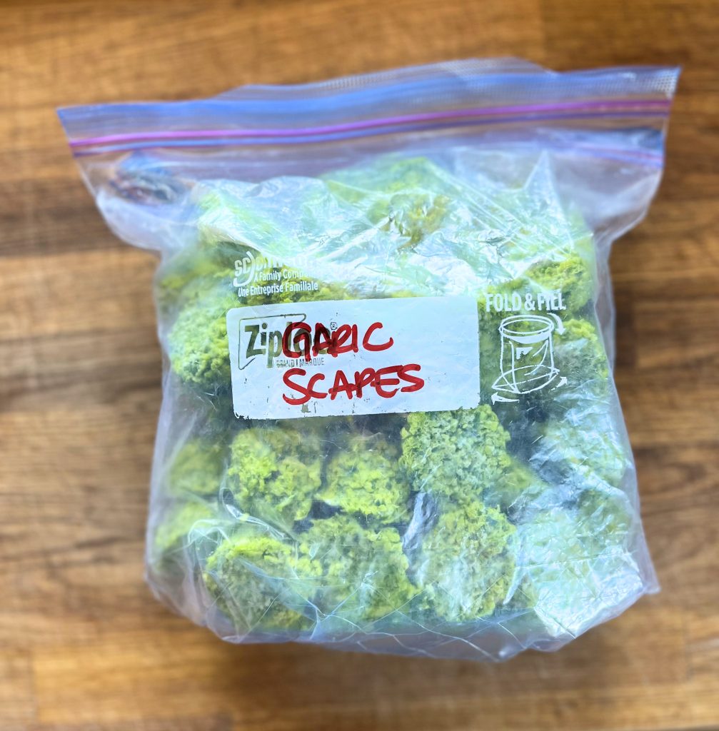 bag of froze garlic scape pucks