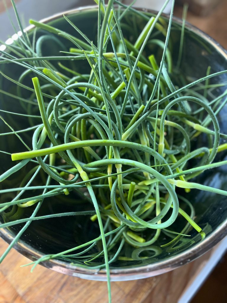 washed garlic scapes in a bowl